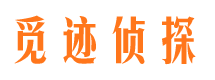 醴陵外遇取证